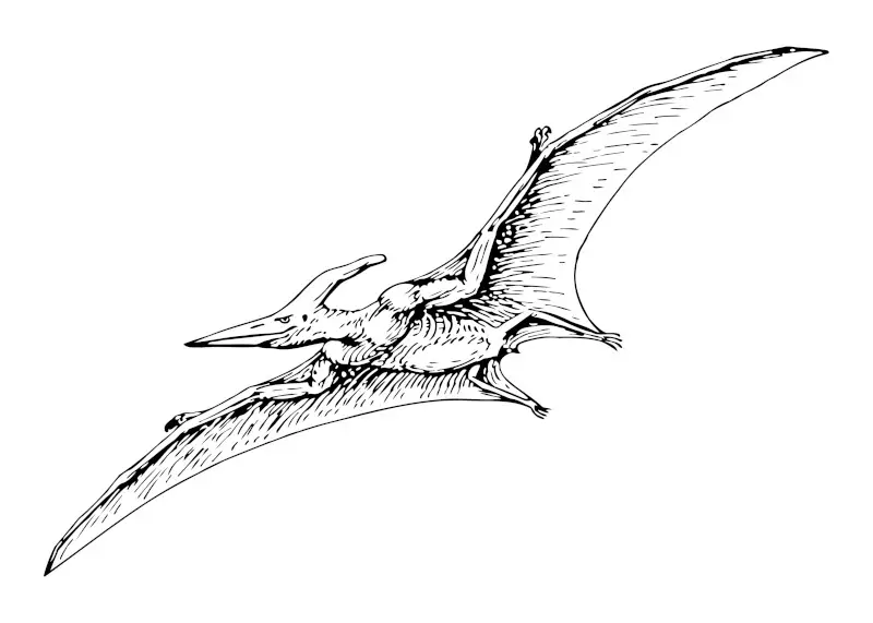 Flying Dinosaur Quick Easy Sketch